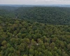 129 Grouse Run Road, Bruceton Mills, West Virginia 26525, 0 , 0 ,0,Lots/land,For Sale,Grouse Run,0,10166817