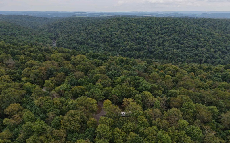 129 Grouse Run Road, Bruceton Mills, West Virginia 26525, 0 , 0 ,0,Lots/land,For Sale,Grouse Run,0,10166817