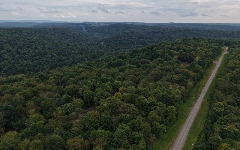129 Grouse Run Road, Bruceton Mills, West Virginia 26525, 0 , 0 ,0,Lots/land,For Sale,Grouse Run,0,10166817