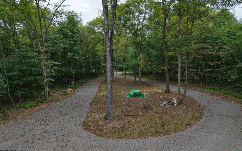 129 Grouse Run Road, Bruceton Mills, West Virginia 26525, 0 , 0 ,0,Lots/land,For Sale,Grouse Run,0,10166817