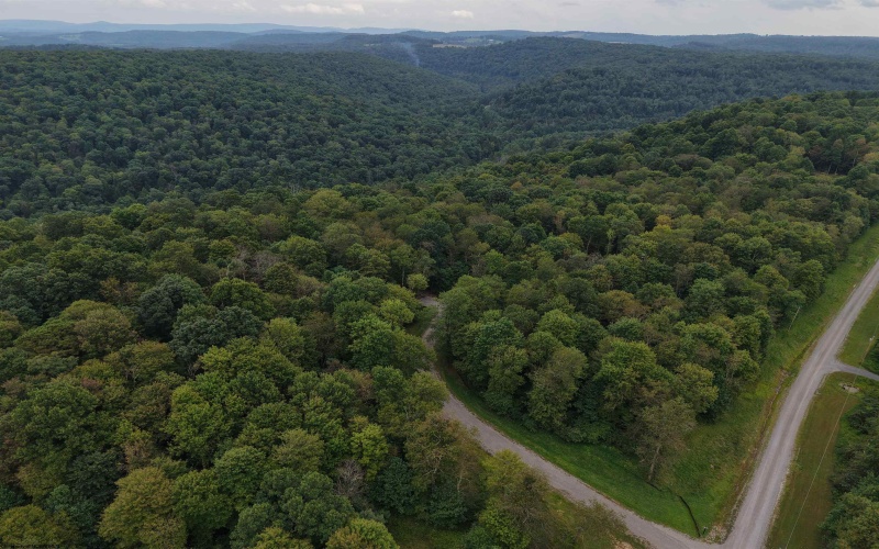 129 Grouse Run Road, Bruceton Mills, West Virginia 26525, 0 , 0 ,0,Lots/land,For Sale,Grouse Run,0,10166817