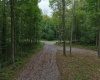 129 Grouse Run Road, Bruceton Mills, West Virginia 26525, 0 , 0 ,0,Lots/land,For Sale,Grouse Run,0,10166817