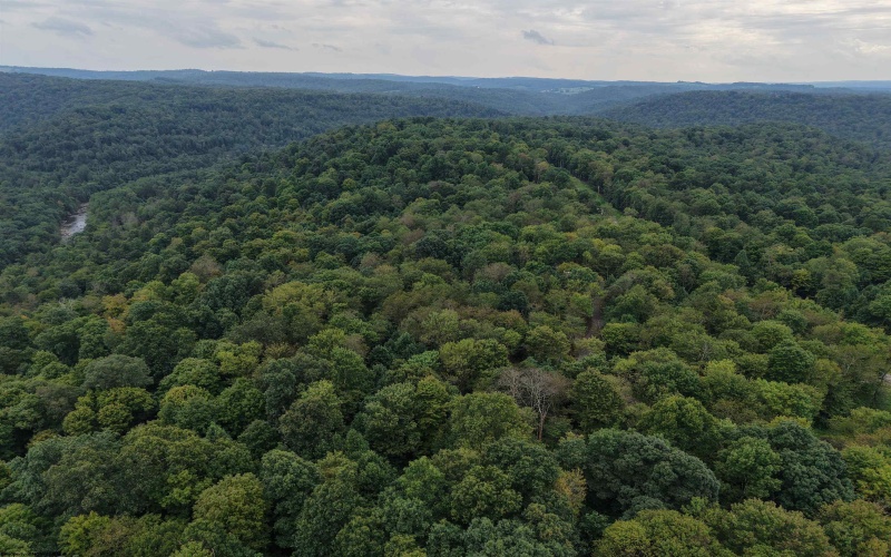 129 Grouse Run Road, Bruceton Mills, West Virginia 26525, 0 , 0 ,0,Lots/land,For Sale,Grouse Run,0,10166817