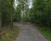 129 Grouse Run Road, Bruceton Mills, West Virginia 26525, 0 , 0 ,0,Lots/land,For Sale,Grouse Run,0,10166817