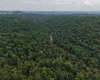 129 Grouse Run Road, Bruceton Mills, West Virginia 26525, 0 , 0 ,0,Lots/land,For Sale,Grouse Run,0,10166817