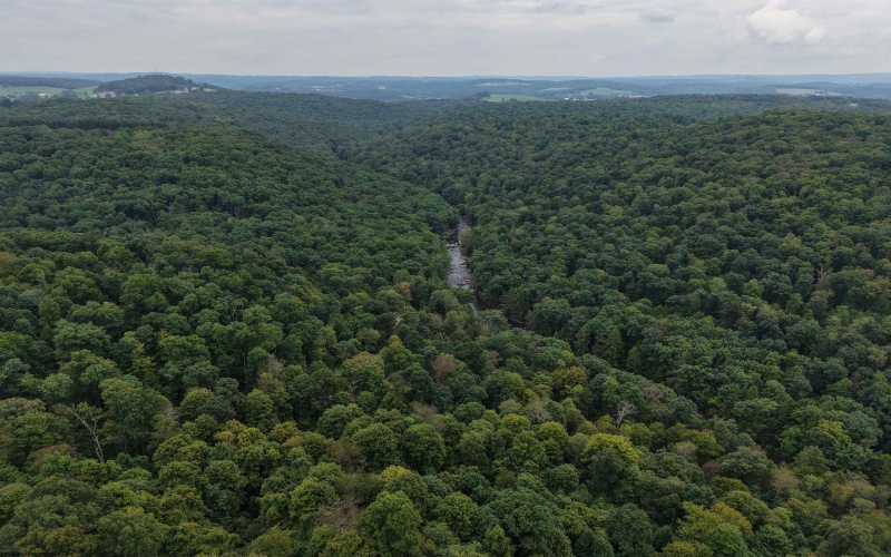 129 Grouse Run Road, Bruceton Mills, West Virginia 26525, 0 , 0 ,0,Lots/land,For Sale,Grouse Run,0,10166817