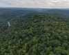 129 Grouse Run Road, Bruceton Mills, West Virginia 26525, 0 , 0 ,0,Lots/land,For Sale,Grouse Run,0,10166817