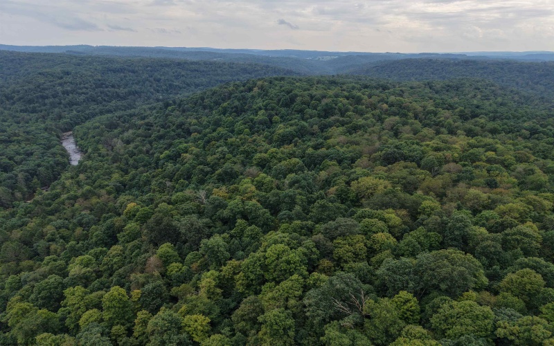 129 Grouse Run Road, Bruceton Mills, West Virginia 26525, 0 , 0 ,0,Lots/land,For Sale,Grouse Run,0,10166817