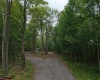 129 Grouse Run Road, Bruceton Mills, West Virginia 26525, 0 , 0 ,0,Lots/land,For Sale,Grouse Run,0,10166817