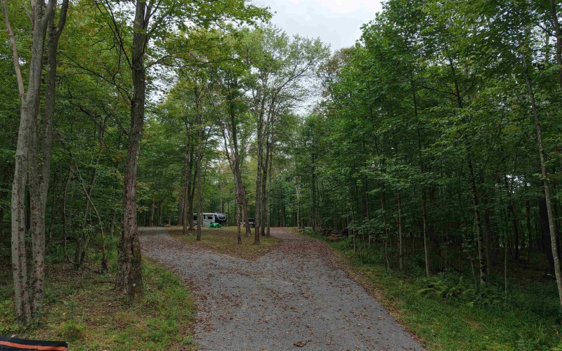 129 Grouse Run Road, Bruceton Mills, West Virginia 26525, 0 , 0 ,0,Lots/land,For Sale,Grouse Run,0,10166817