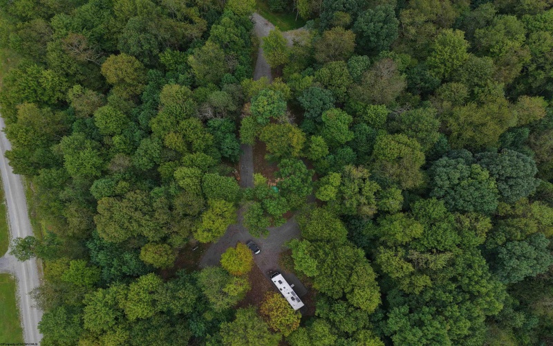 129 Grouse Run Road, Bruceton Mills, West Virginia 26525, 0 , 0 ,0,Lots/land,For Sale,Grouse Run,0,10166817