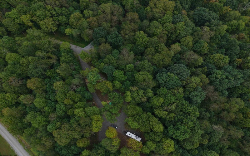 129 Grouse Run Road, Bruceton Mills, West Virginia 26525, 0 , 0 ,0,Lots/land,For Sale,Grouse Run,0,10166817