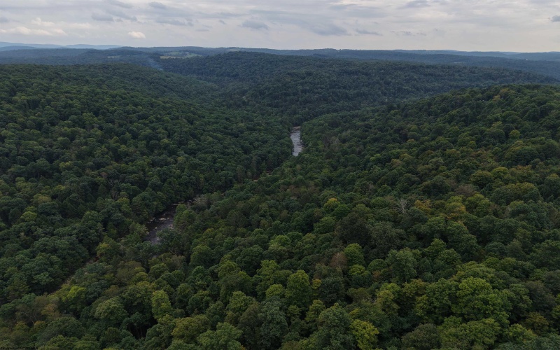 129 Grouse Run Road, Bruceton Mills, West Virginia 26525, 0 , 0 ,0,Lots/land,For Sale,Grouse Run,0,10166817