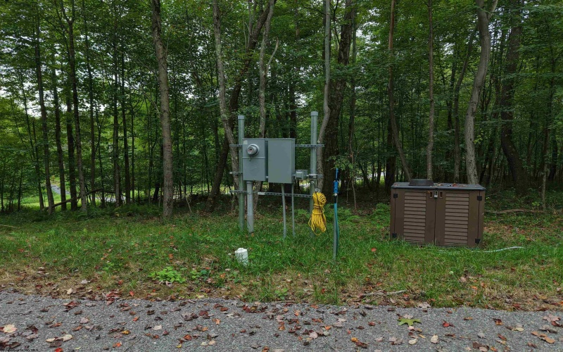 129 Grouse Run Road, Bruceton Mills, West Virginia 26525, 0 , 0 ,0,Lots/land,For Sale,Grouse Run,0,10166817