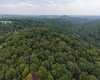 129 Grouse Run Road, Bruceton Mills, West Virginia 26525, 0 , 0 ,0,Lots/land,For Sale,Grouse Run,0,10166817