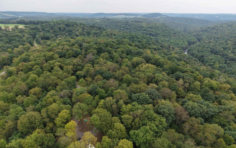 129 Grouse Run Road, Bruceton Mills, West Virginia 26525, 0 , 0 ,0,Lots/land,For Sale,Grouse Run,0,10166817