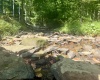 1845 WhiteWater Parkway, Bruceton Mills, West Virginia 26525, 0 , 0 ,0,Lots/land,For Sale,WhiteWater,0,10166819