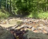 1845 WhiteWater Parkway, Bruceton Mills, West Virginia 26525, 0 , 0 ,0,Lots/land,For Sale,WhiteWater,0,10166819