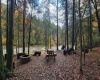1845 WhiteWater Parkway, Bruceton Mills, West Virginia 26525, 0 , 0 ,0,Lots/land,For Sale,WhiteWater,0,10166819