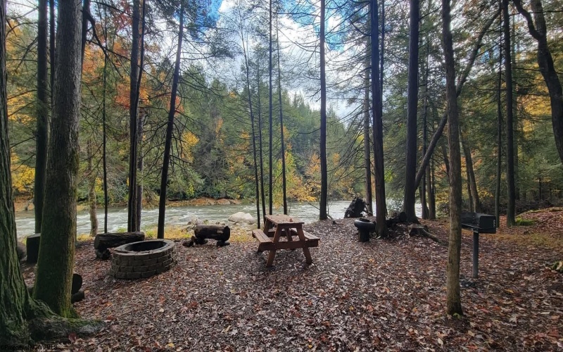 1845 WhiteWater Parkway, Bruceton Mills, West Virginia 26525, 0 , 0 ,0,Lots/land,For Sale,WhiteWater,0,10166819