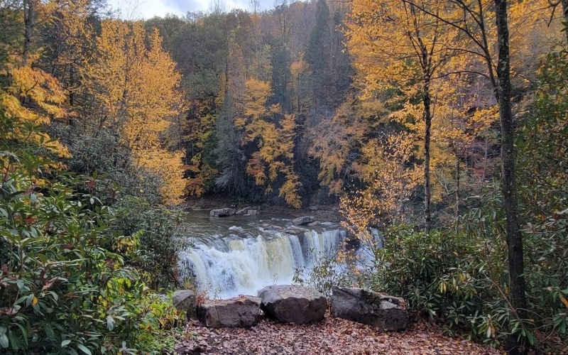 1845 WhiteWater Parkway, Bruceton Mills, West Virginia 26525, 0 , 0 ,0,Lots/land,For Sale,WhiteWater,0,10166819
