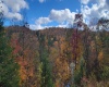 1845 WhiteWater Parkway, Bruceton Mills, West Virginia 26525, 0 , 0 ,0,Lots/land,For Sale,WhiteWater,0,10166819