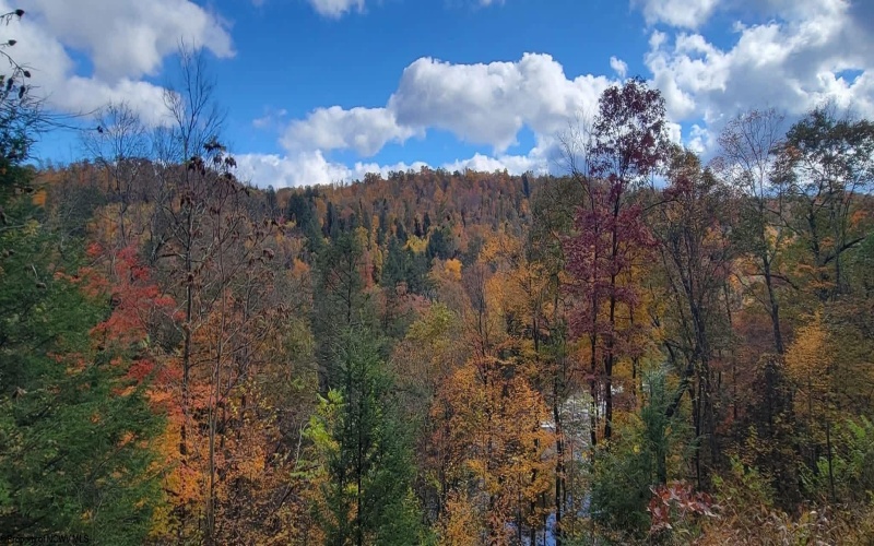 1845 WhiteWater Parkway, Bruceton Mills, West Virginia 26525, 0 , 0 ,0,Lots/land,For Sale,WhiteWater,0,10166819
