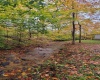 1845 WhiteWater Parkway, Bruceton Mills, West Virginia 26525, 0 , 0 ,0,Lots/land,For Sale,WhiteWater,0,10166819