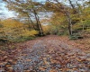 1845 WhiteWater Parkway, Bruceton Mills, West Virginia 26525, 0 , 0 ,0,Lots/land,For Sale,WhiteWater,0,10166819