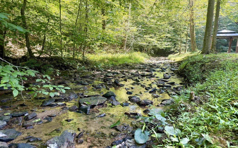 1845 WhiteWater Parkway, Bruceton Mills, West Virginia 26525, 0 , 0 ,0,Lots/land,For Sale,WhiteWater,0,10166819
