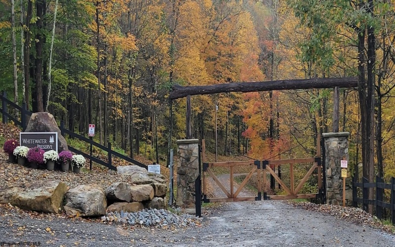1845 WhiteWater Parkway, Bruceton Mills, West Virginia 26525, 0 , 0 ,0,Lots/land,For Sale,WhiteWater,0,10166819