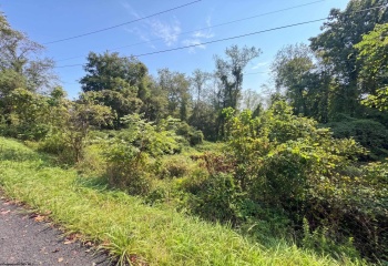 320 Ossaway Street, Fairmont, West Virginia 26554, 0 , 0 ,0,Lots/land,For Sale,Ossaway,0,10166825