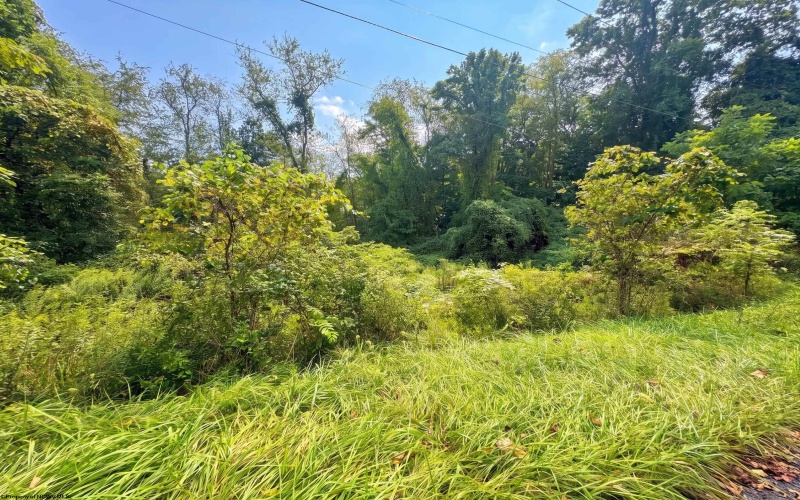 320 Ossaway Street, Fairmont, West Virginia 26554, 0 , 0 ,0,Lots/land,For Sale,Ossaway,0,10166825