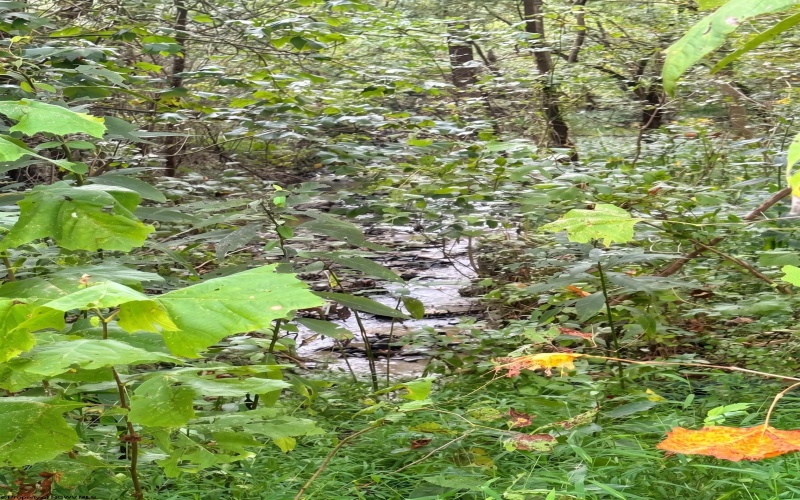 602 Cleveland Avenue, Fairmont, West Virginia 26554, 0 , 0 ,0,Lots/land,For Sale,Cleveland,0,10166831