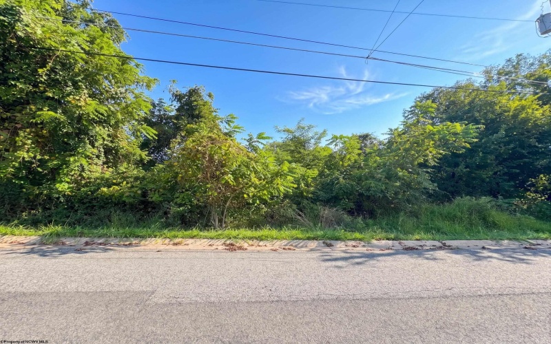 TBD Spruce Street, Fairmont, West Virginia 26554, 0 , 0 ,0,Lots/land,For Sale,Spruce,0,10166837