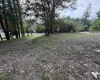 12 PAUL Street, Elkins, West Virginia 26241, 0 , 0 ,0,Lots/land,For Sale,PAUL,0,10166838