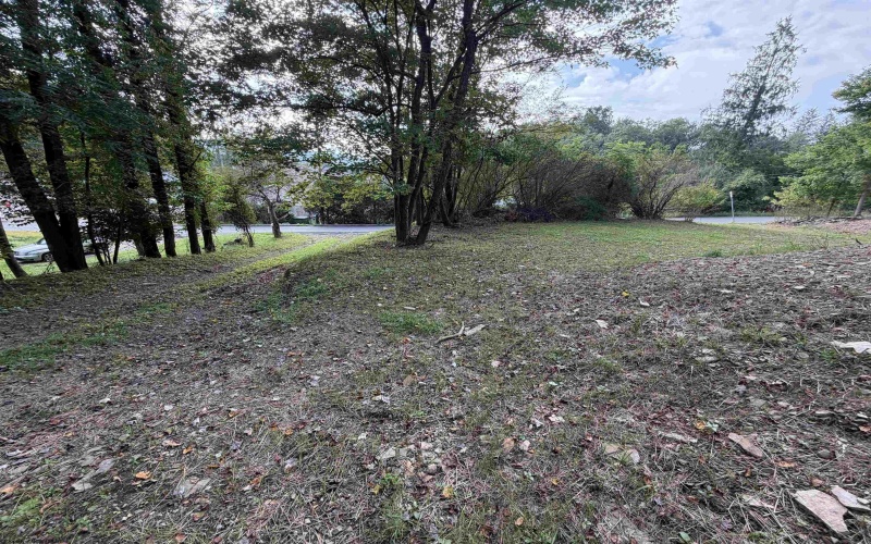 12 PAUL Street, Elkins, West Virginia 26241, 0 , 0 ,0,Lots/land,For Sale,PAUL,0,10166838