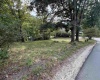 TBD HOWELL Street, Elkins, West Virginia 26241, 0 , 0 ,0,Lots/land,For Sale,HOWELL,0,10166839 TBD HOWELL Street, Elkins, West Virginia 26241, 0 , 0 ,0,Lots/land,For Sale,HOWELL,0,10166839