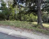 TBD HOWELL Street, Elkins, West Virginia 26241, 0 , 0 ,0,Lots/land,For Sale,HOWELL,0,10166839 TBD HOWELL Street, Elkins, West Virginia 26241, 0 , 0 ,0,Lots/land,For Sale,HOWELL,0,10166839