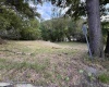 TBD HOWELL Street, Elkins, West Virginia 26241, 0 , 0 ,0,Lots/land,For Sale,HOWELL,0,10166839 TBD HOWELL Street, Elkins, West Virginia 26241, 0 , 0 ,0,Lots/land,For Sale,HOWELL,0,10166839