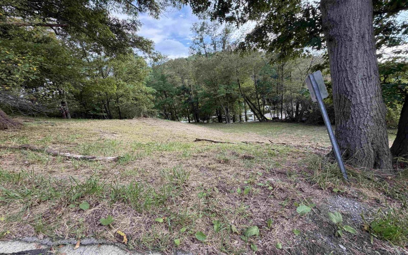 TBD HOWELL Street, Elkins, West Virginia 26241, 0 , 0 ,0,Lots/land,For Sale,HOWELL,0,10166839 TBD HOWELL Street, Elkins, West Virginia 26241, 0 , 0 ,0,Lots/land,For Sale,HOWELL,0,10166839