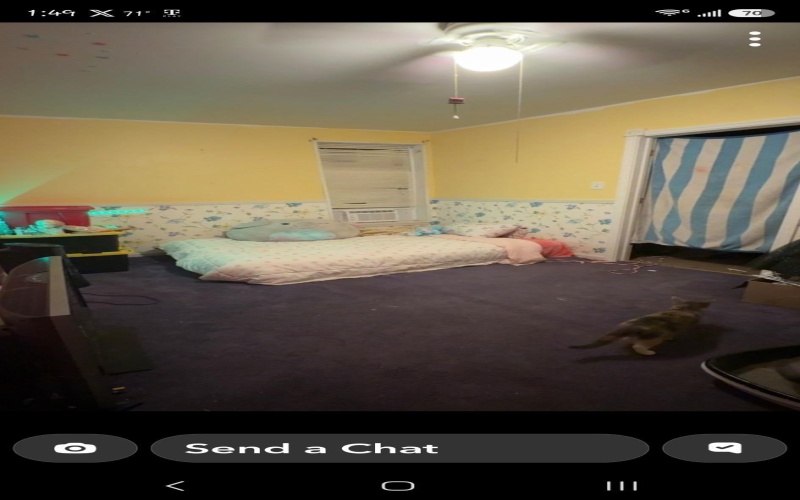 307 Forest View Drive, Kingwood, West Virginia 26537, 3 Bedroom Bedrooms, 6 Room Rooms,1 BathroomBathrooms,Single Family Detached,For Sale,Forest View,0,10166854
