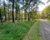 Lot 163 Anemone Lane, Terra Alta, West Virginia 26764, 0 , 0 ,0,Lots/land,For Sale,Anemone,0,10166868