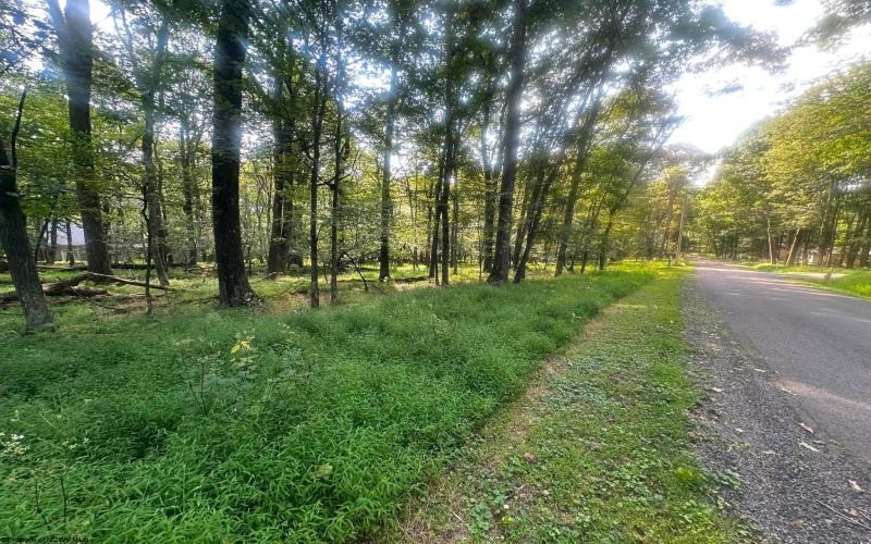Lot 163 Anemone Lane, Terra Alta, West Virginia 26764, 0 , 0 ,0,Lots/land,For Sale,Anemone,0,10166868