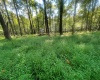 Lot 163 Anemone Lane, Terra Alta, West Virginia 26764, 0 , 0 ,0,Lots/land,For Sale,Anemone,0,10166868