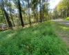 Lot 163 Anemone Lane, Terra Alta, West Virginia 26764, 0 , 0 ,0,Lots/land,For Sale,Anemone,0,10166868