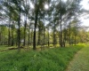 Lot 163 Anemone Lane, Terra Alta, West Virginia 26764, 0 , 0 ,0,Lots/land,For Sale,Anemone,0,10166868