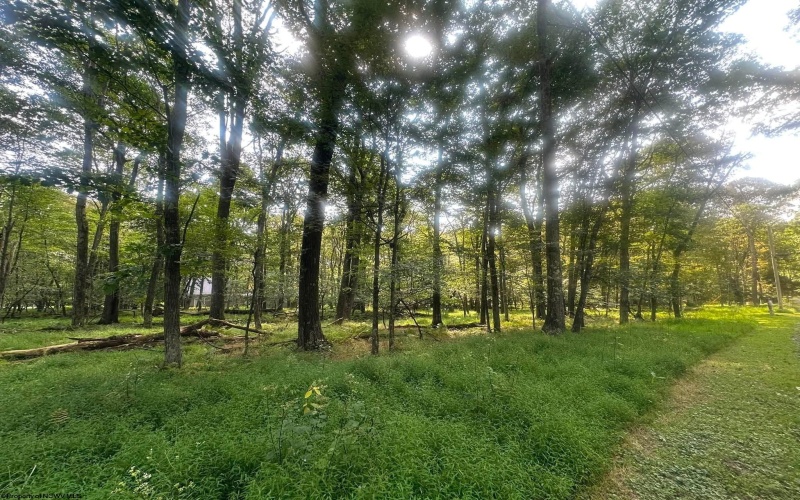 Lot 163 Anemone Lane, Terra Alta, West Virginia 26764, 0 , 0 ,0,Lots/land,For Sale,Anemone,0,10166868