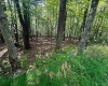 51 Beebalm Court, Terra Alta, West Virginia 26764, 0 , 0 ,0,Lots/land,For Sale,Beebalm,0,10166864