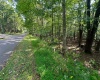 51 Beebalm Court, Terra Alta, West Virginia 26764, 0 , 0 ,0,Lots/land,For Sale,Beebalm,0,10166864